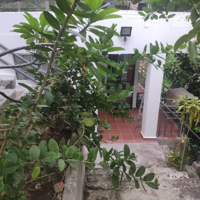 Kk Jungle Hideaway Lovely Apartment 5 Mins Walk To Town Kota Kinabalu Kültér fotó